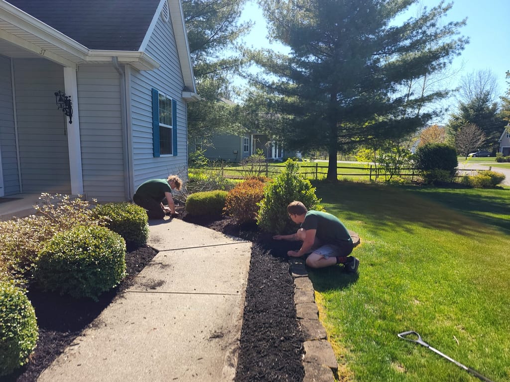 Benefits of yearly mulching 13 yearly mulching in Queensbury