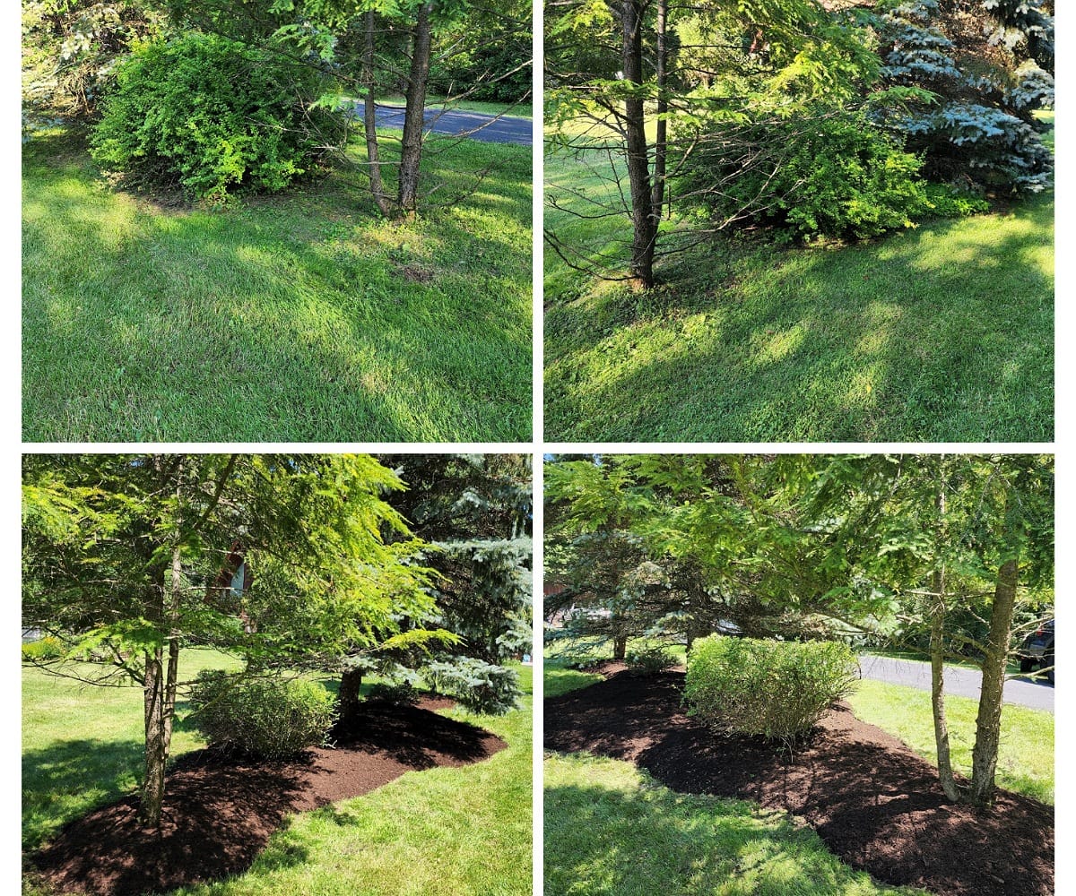 Advantages Of High Quality Mulch Over Bagged Mulch Summit Lawn Care