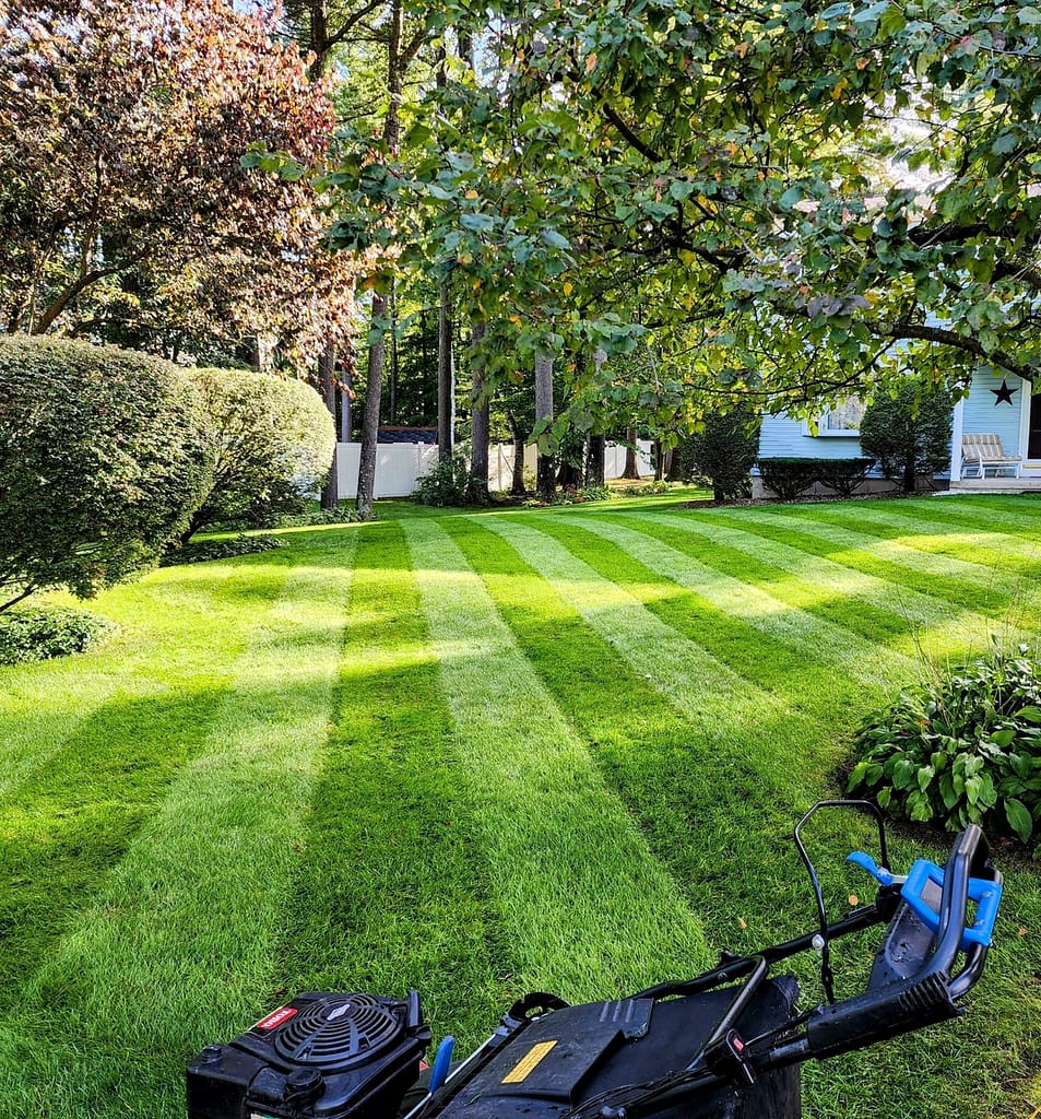 how often should you be mowing your grass? 11 beautiful mowing stripes and lawn care in Queensbury